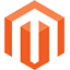 Magento Developers