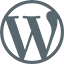 WordPress & CMS Developers