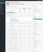 mySTAT - Site Visitor Statistics WordPress Plugin Screenshot 13