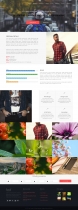 King Cronos - Joomla Business Template Screenshot 5