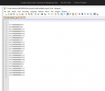Credit Card Luhn Checker And Masking Script Screenshot 5