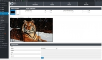 Digital Signage - WordPress Plugin  Screenshot 7