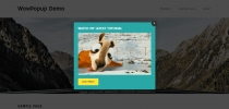 WowPopup - WordPress Popup Plugin Screenshot 20