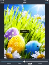 Powerful Photo Editor - iOS App Source Code Screenshot 12