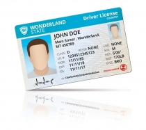 Driver License Mock Up Screenshot 2