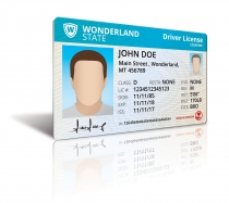 Driver License Mock Up Screenshot 6