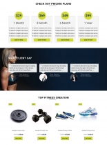 VW Fitness Pro - WordPress Theme Screenshot 3