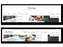 Reef Plus - WordPress Theme Screenshot 3