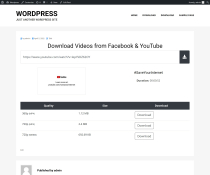 Facebook Youtube Video Downloader - WP Plugin Screenshot 2