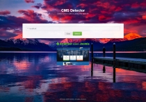 Simple CMS Detector Script Screenshot 1
