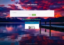 Simple CMS Detector Script Screenshot 2
