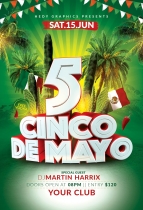 Cinco de Mayo Flyer Template Screenshot 2