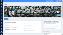 Prince - Responsive Admin Template Screenshot 3