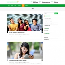 Scholarship Pro WordPress Theme Screenshot 3