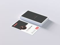 Professional Business Card Vol 02 Screenshot 3