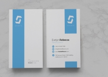 Professional Business Card Vol 04 Screenshot 3