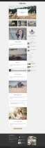 Click Press - Magazine WordPress Theme Screenshot 6