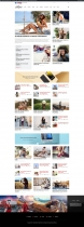 Akina - Magazine WordPress Theme Screenshot 4