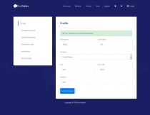 ProWallet - Electronic Online Wallet Script Screenshot 7