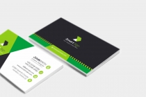 Professional Business Card Screenshot 2