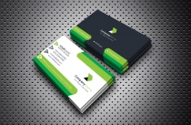 Professional Business Card v2 Screenshot 2