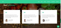 Folco - Personal Portfolio Responsive Template Screenshot 4