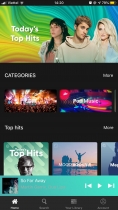 Music Streaming iOS App Template Screenshot 15