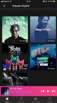 Music Streaming Android And iOS App Template Screenshot 10