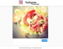 Instant Instagram Photos and Videos Downloader PHP Screenshot 3