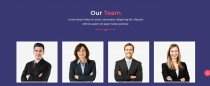 Fozila Consulting Business Template Screenshot 3