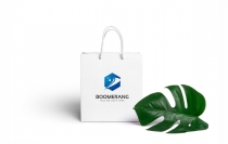 Boomerang Logo Screenshot 2