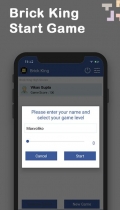 Brick King - Android Source Code Screenshot 5