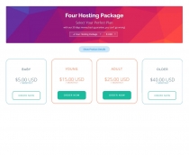 Flip Hosting Cart - WHMCS Order Form Template Screenshot 6