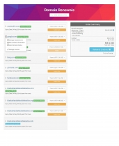 Flip Hosting Cart - WHMCS Order Form Template Screenshot 24