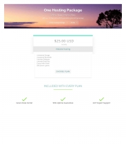 Flat Hosting Cart - WHMCS Order Form Template Screenshot 2