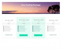 Flat Hosting Cart - WHMCS Order Form Template Screenshot 5