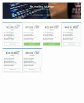 Modern Hosting Cart - WHMCS Order Form Template Screenshot 6