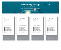 Power Hosting Cart - WHMCS Order Form Template Screenshot 5