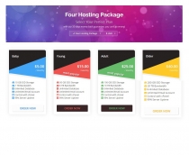 Vivid Hosting Cart - WHMCS Order Form Template Screenshot 5