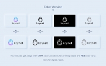 Keynet - Digital Security Logo Template Screenshot 5