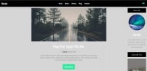 Morate - Blog Web Template Screenshot 5