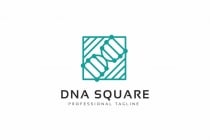 DNA Square Logo Screenshot 2