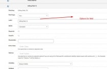 Custom WooCommerce Checkout Fields Tool Screenshot 2