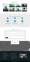 Pet Devine - Pet Care Landing Page HTML Template Screenshot 3