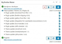 Big Brother - Managing Multiple WordPress Sites Screenshot 5