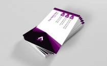 10 More Professional Business Card Design Bundle Screenshot 33