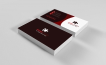 10 More Professional Business Card Design Bundle Screenshot 72