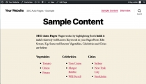 SEO Auto Pages - WordPress Plugin Screenshot 7