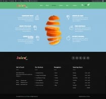 Juicebar Pro WordPress Theme Screenshot 3