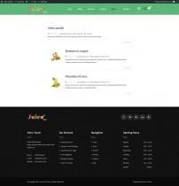 Juicebar Pro WordPress Theme Screenshot 4